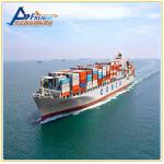 FBA International Sea Freight Forwarder From China To Canada for sale