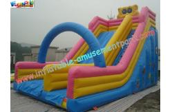 China 9M Spongebob Commercial Inflatable Water , Inflatable Bouncer Slides supplier