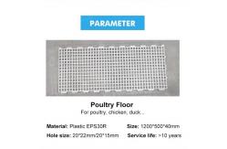 China Grating Shed Mesh Plastic Slatted Floor For Poultry supplier