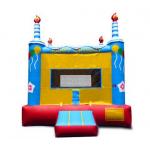 Inflatable Bouncer / Inflatable Birthday Bouncer 0.5MM PVC tarpaulin bouncer 4x4m for sale