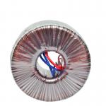 240V Toroidal Transformer 100W 100VA for 12V 24V 48V Conversion for sale