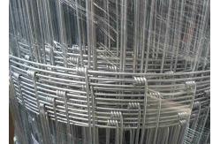China Cattle Galvanized Fencing Mesh 2mm Diameter 0.4m - 1.8m Width supplier