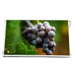 LQ106K1LA01B 10.6 inch 1280*768 LCD Screen Display for sale