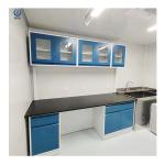 Customizable Lab Wall Bench Furniture W750*H850mm Chemical Resistant for sale
