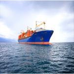 International DDU DDP Sea Freight Forwarding From China To Denmark for sale