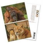 PLASTIC LENTICULAR cheap price 3D postcards 3D animal post cards with lenticular sheet material for sale