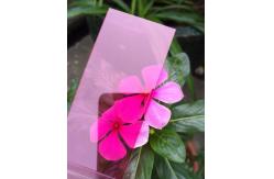 China 2.1m Width Pink Polycarbonate PC Solid Sheet With 0.6mm-18mm Thickness supplier