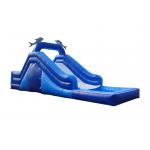 Vibrant And Colorful Inflatable Slide For Children Exciting Sliding Experience for sale