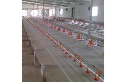 China Motor Engine Automatic Pan Feeding System For Chicken Broiler Poultry supplier