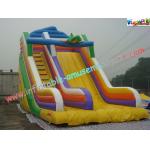 Customized Commercial Inflatable Water , Giant Inflatable Jumper Slide Toys for sale