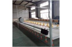 China Duck Broiler 100% PP UV Poultry Slat Flooring supplier