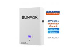 China Built - In Smart BMS Natrium Ion Battery SP-48100-BG-NA supplier