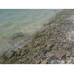 Anti Erosion Flexible Ecological Gabion Mesh Retaining Wall 80x100mm for sale