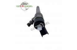 China Common Rail Diesel Fuel Injector 0445110310 For Engine supplier