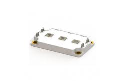 China Automotive IGBT Modules MSCDC300A170AG 1700V 300A Phase Leg SiC Diode Module supplier