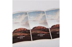 China 750ml Custom Beer Bottle Labels Roll Printing waterproof OEM ODM supplier