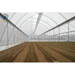 Modern Agriculture Tropical Multi Span Greenhouse Easy Setup Low Maintenance