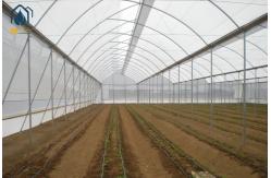 China Modern Agriculture Tropical Multi Span Greenhouse Easy Setup Low Maintenance supplier