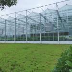 Agriculture Flower Greenhouse Glass Industrial Outdoor Multispan Glass Professional Dutch Greenhouse For Flower Planting for sale