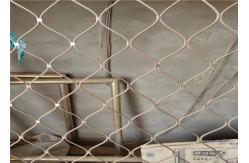 China Black Oxide Protecting Woven Aviary Wire Netting Beautiful And Clear supplier