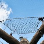 X-Tend Stainless Steel Cable Wire Netting for Bird Aviary Anti Falling Net for sale