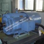 Low Speed Performance  AC Dynamometer 573Nm For Diesel Engine Test for sale