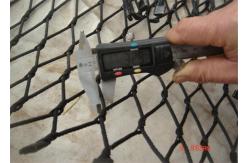 China 2.0mm Dia Animal Enclosure Netting Rust Resistant Stainless Steel Material supplier