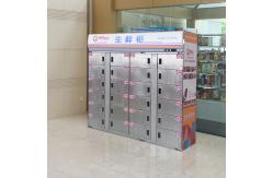 China Smart Refrigerated Food Fresh Locker Frozen Storage Metal Self Service supplier