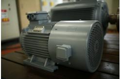 China Radial Flux Permanent Magnet Generator For Wind Turbine / Hydro Turbine supplier