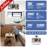 Downrod Mount Remote Control Cage Ceiling Fan 20in With Light