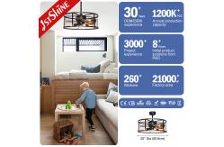 China Downrod Mount Remote Control Cage Ceiling Fan 20in With Light supplier