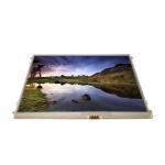 LT121EE16000 12.1 inch 1280*800 LVDS LCD Screen panel for sale