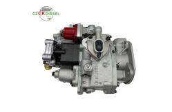 China Fuel Injection Pump 3075626 470593 4999486 for KTA19 NT855 KTA38 QSK38 Engine supplier