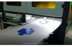 China Rigid Box Visual Positioning Machine Gift Shoe Cell Phone Box supplier
