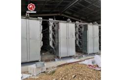 China 4-Tier Fully Automated Layer Housing System with Galvanized Frame & Auto Collection supplier
