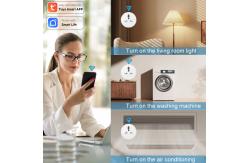 China Tuya Wifi Smart Socket Remote Voice Control Plug With Scheduling And Automation Functions supplier