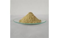 China Hot Sale Rhubarb Root Extract For Natural Pigment supplier