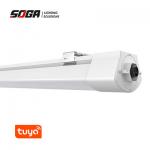 SMD2835 Tri Proof Led Light Led 35W 170lm/w CCT Dimming Length 120cm for sale