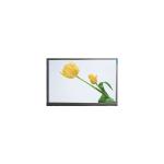 J055SWRA R0 5.5 inch LCD Screen Display Panel for sale