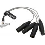 Alvin'S Cables Breakout Audio Input Output Cable For Atomos Shogun Monitor Recorder Right Angle 10 Pin To 4 XLR 3 Pin for sale