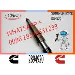 Diesel Common Rail Fuel Injector 2086663 1933613 1881565 2894920. Compatible