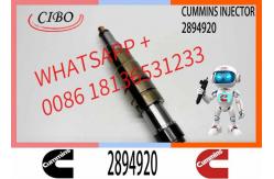 China Diesel Common Rail Fuel Injector 2086663 1933613 1881565 2894920. Compatible supplier