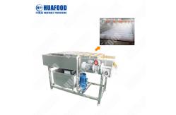 China Fruit And Vegetable Processing And Cleaning Line Leaf Vegetables Bubble Washing Machine supplier
