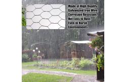 China Powder Coated 6x6 Hex Wire Mesh For Fish Cage supplier