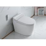 Electronic Bidet Smart Intelligent Toilet Automatic Cleaner Seat