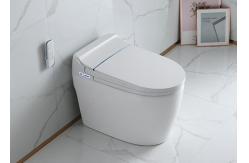 China Electronic Bidet Smart Intelligent Toilet Automatic Cleaner Seat supplier