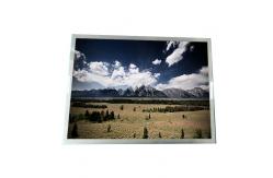 China 1024X768 15.0 Inch AUO Industrial Lcd Screen 20 Pin TFT LCD Module supplier