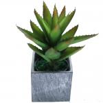 Indoor Decor Artificial Succulent Plant No Nursing Evergreen Four Seasons 50cm Bespoke Bonsai For Hotel Table for sale