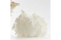China Short Fiber Resilience Eco Friendly Polyester Fiber Fine Diameter Recycled Polyester Fiber supplier