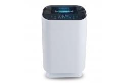 China Homefish Fast Dispatch OEM Air Scent Diffuser Anion Air Purifier CFM 99% supplier